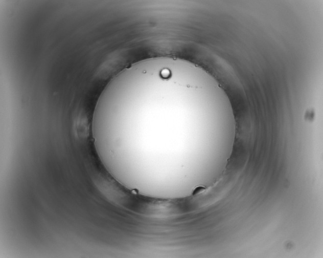 X0000103930086200809191400