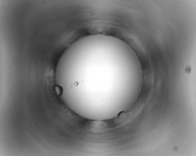 X0000103930087200809191400