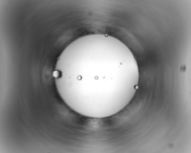 X0000103930088200809191400