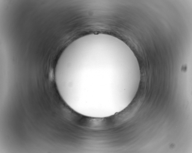 X0000103930089200809191401