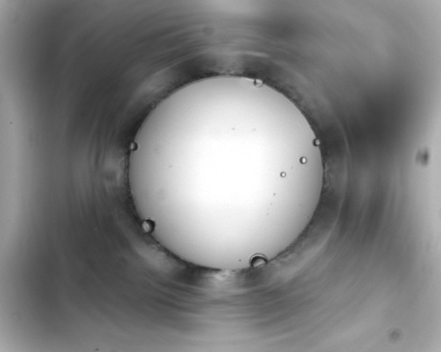 X0000103930092200809191401