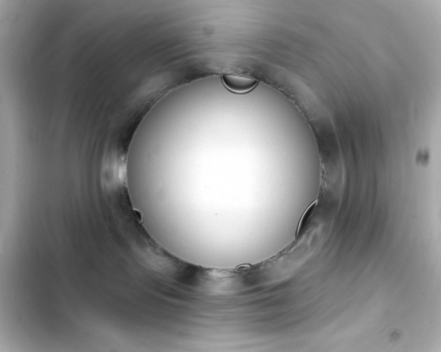 X0000103930095200809191401