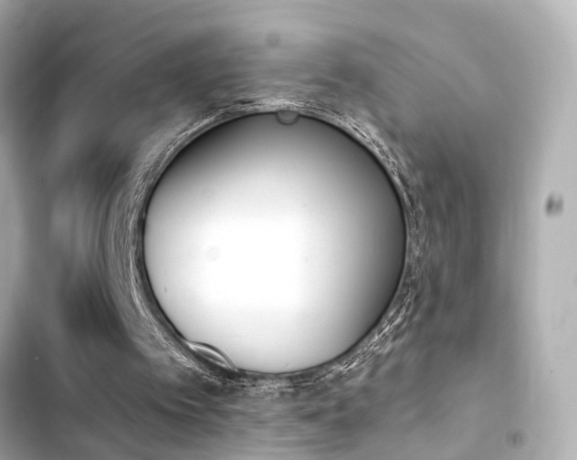X0000103930097200809191400