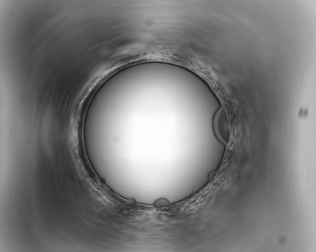 X0000103930098200809191400