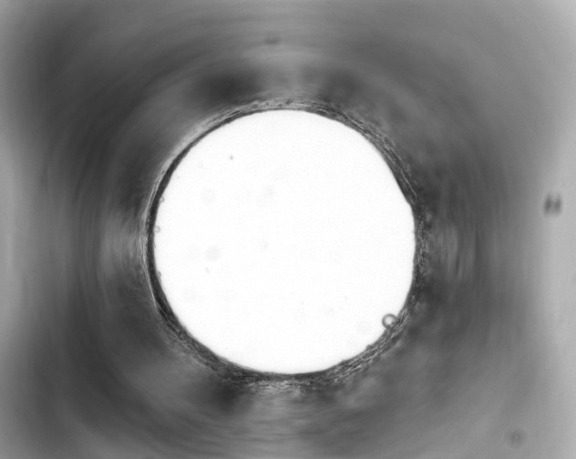 X0000103930100200809191400