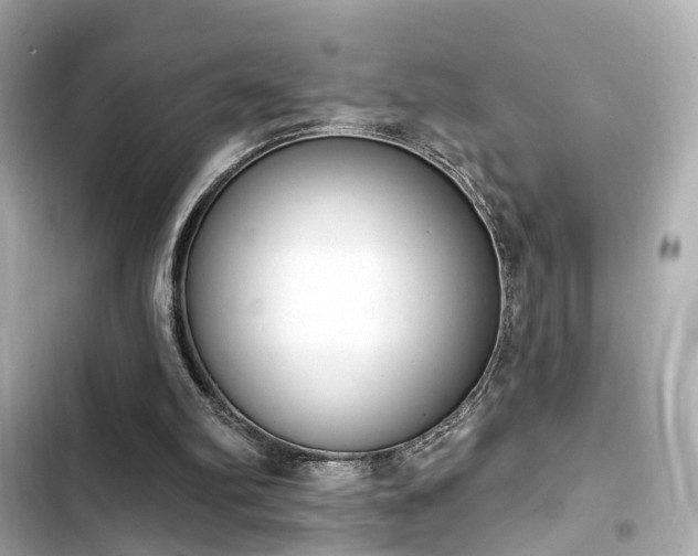 X0000103930102200809191400