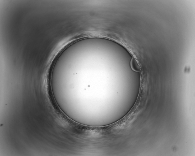 X0000103930103200809191400