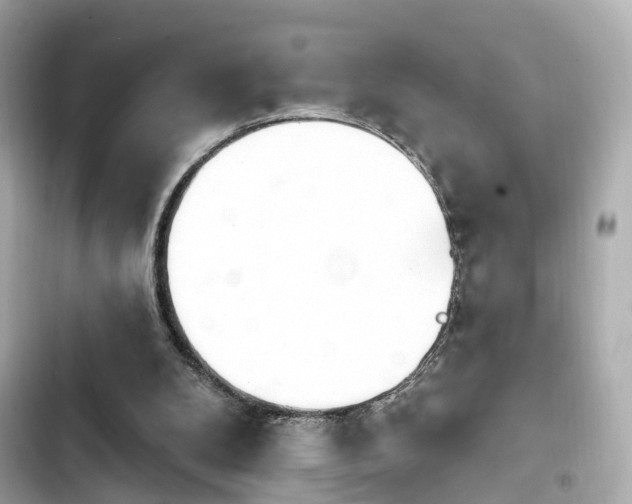 X0000103930104200809191400