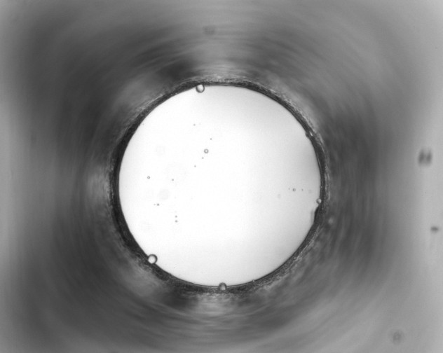 X0000103930105200809191400