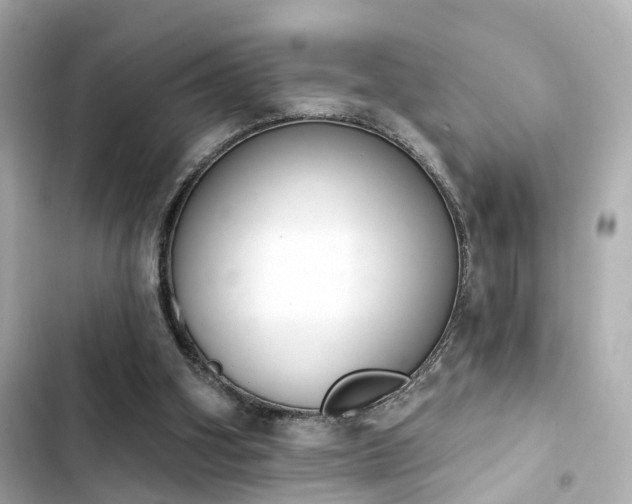 X0000103930106200809191400
