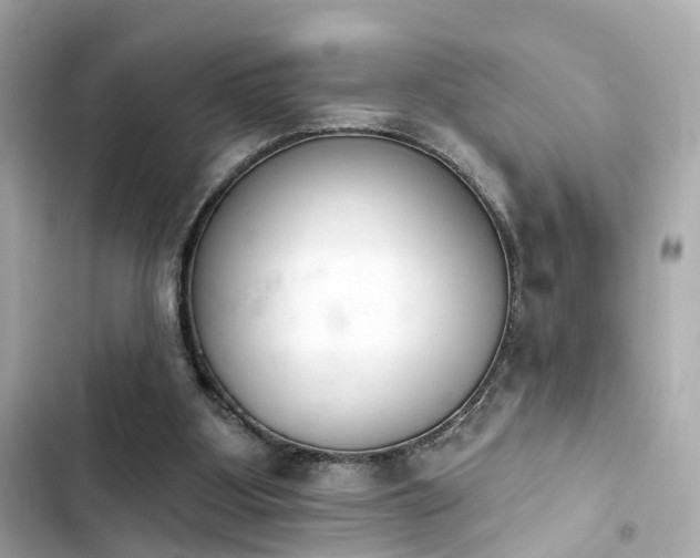 X0000103930107200809191400