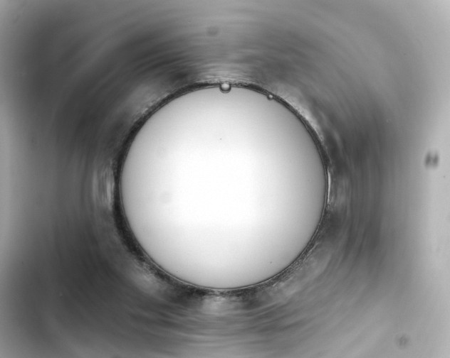 X0000103930109200809191400