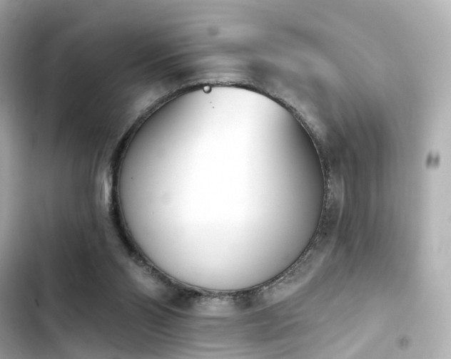 X0000103930110200809191400