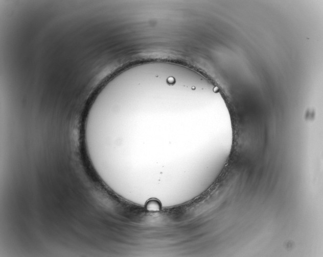 X0000103930111200809191400