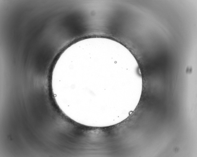 X0000103930112200809191359
