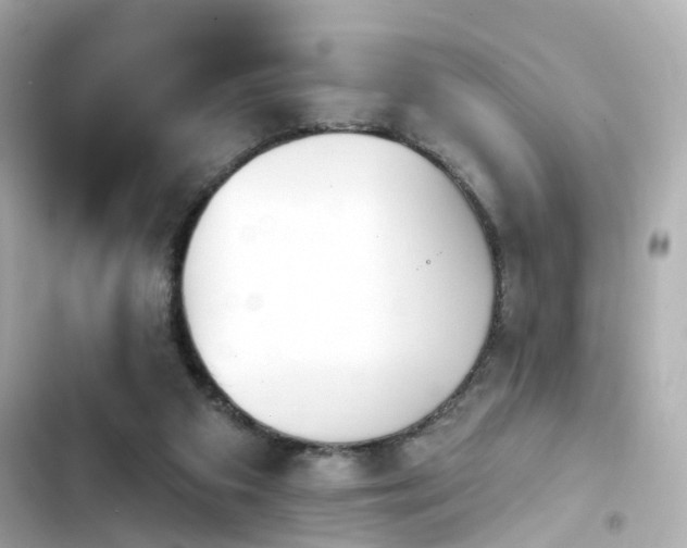 X0000103930113200809191359