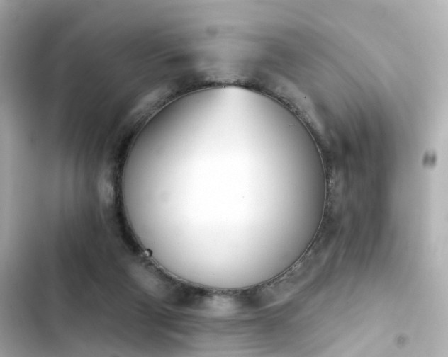 X0000103930114200809191359