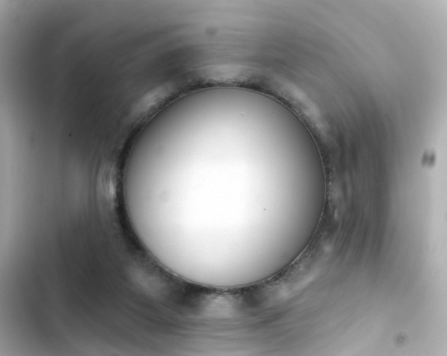 X0000103930115200809191359