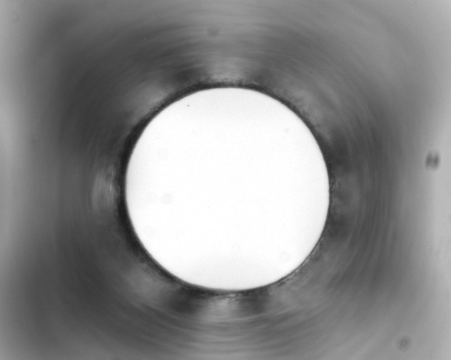 X0000103930116200809191359
