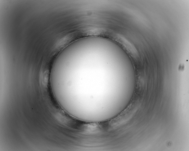 X0000103930118200809191359