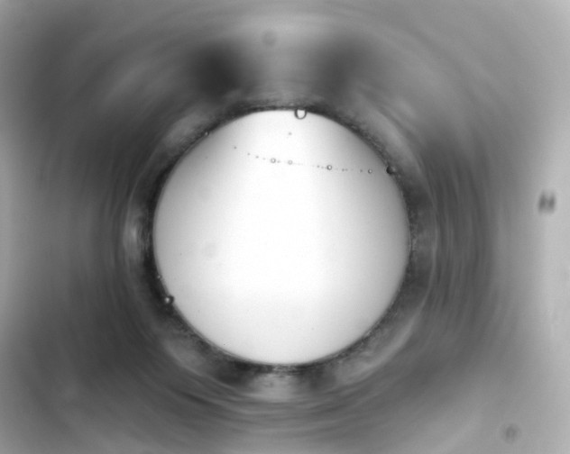 X0000103930119200809191359