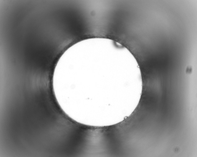 X0000103930120200809191359