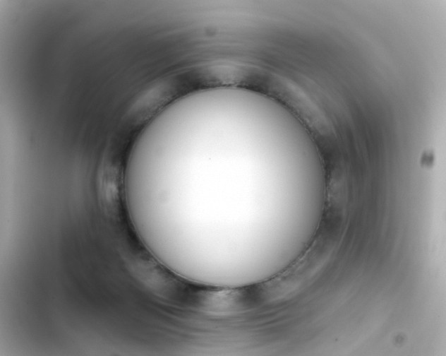 X0000103930122200809191359