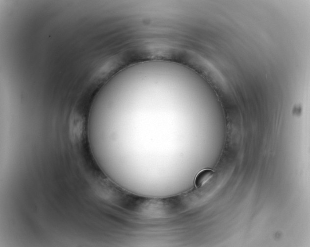 X0000103930123200809191359