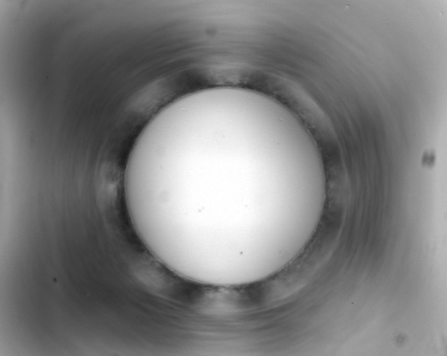 X0000103930125200809191359