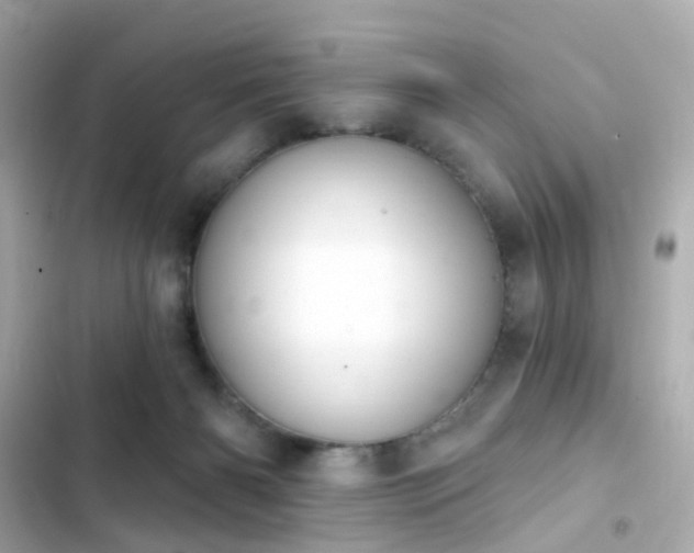 X0000103930126200809191359