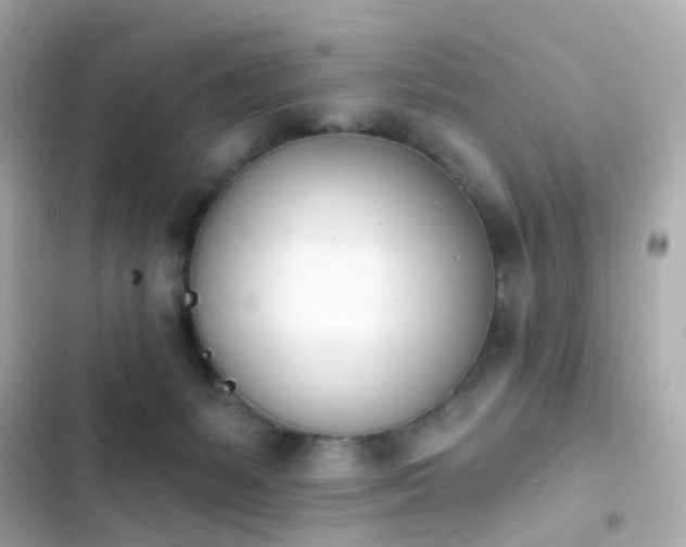 X0000103930127200809191359