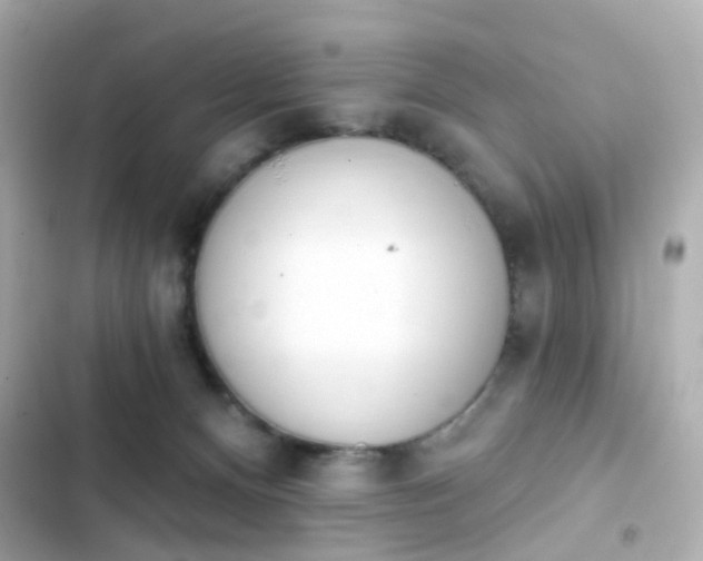 X0000103930128200809191359