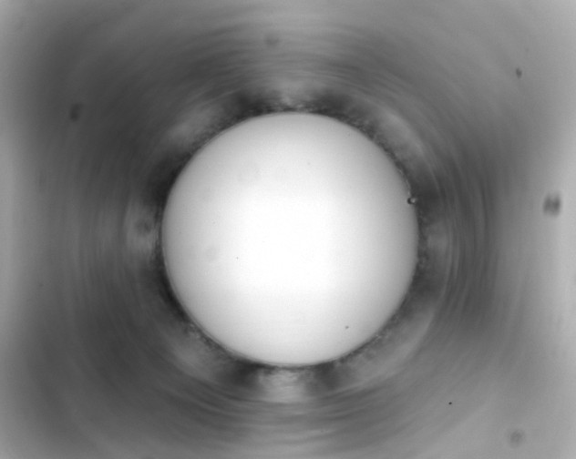 X0000103930129200809191359