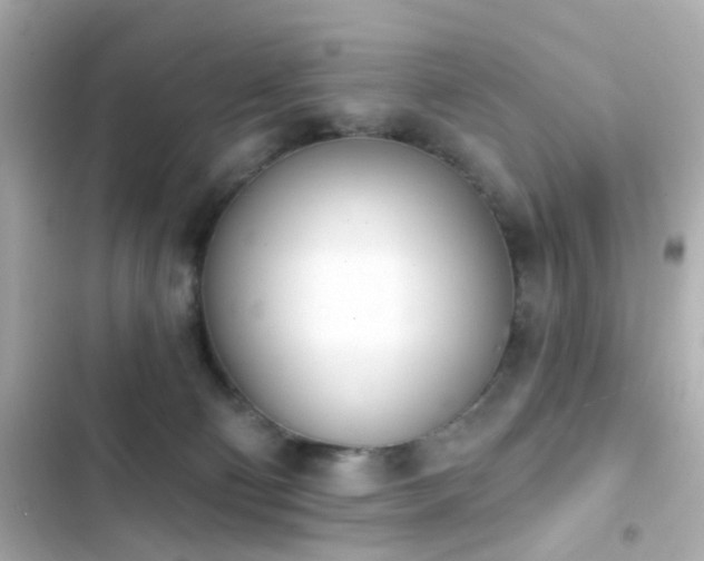 X0000103930130200809191359