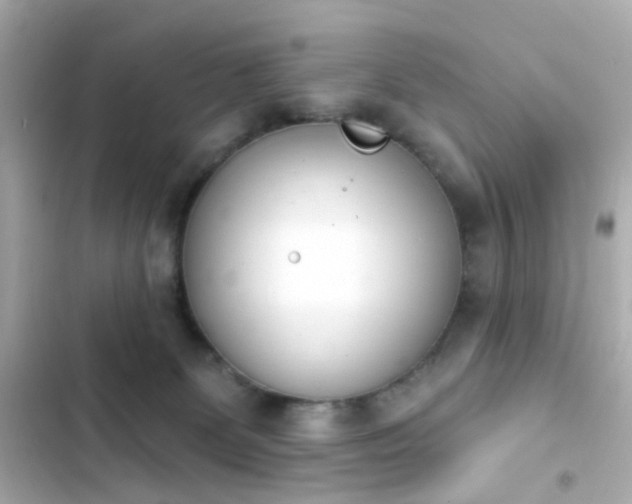 X0000103930131200809191359