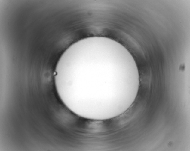 X0000103930132200809191359