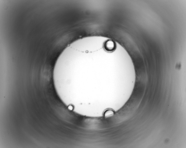 X0000103930133200809191359