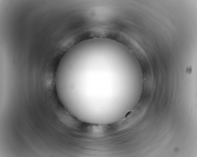 X0000103930134200809191359