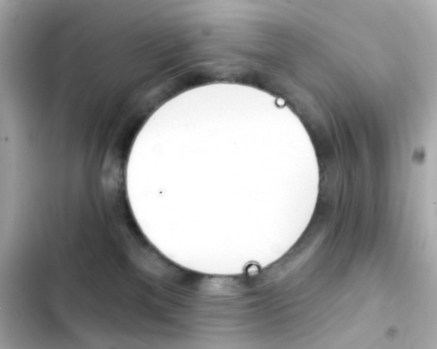 X0000103930137200809191359