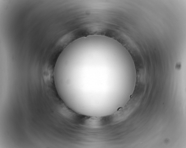 X0000103930138200809191359