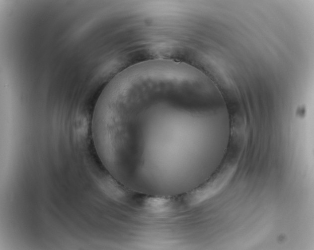 X0000103930139200809191359
