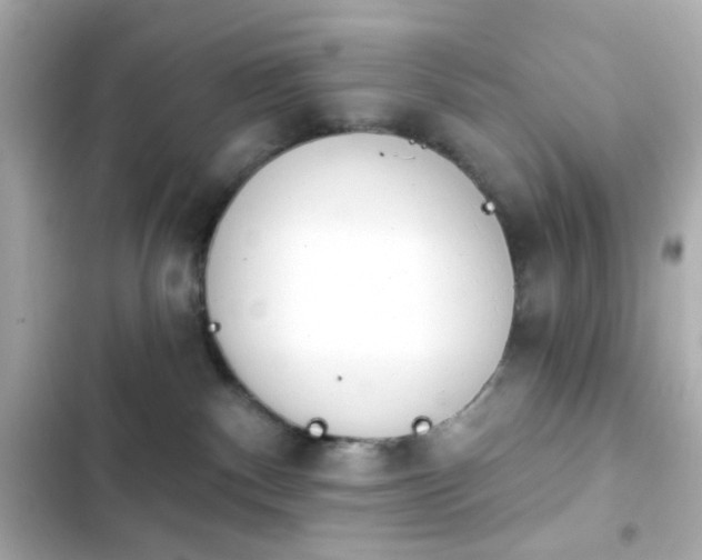 X0000103930140200809191359