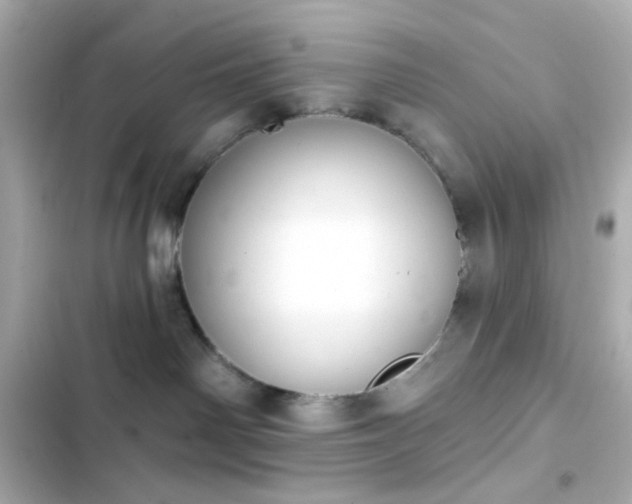 X0000103930142200809191359