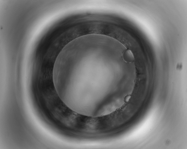 X0000103930143200809191359
