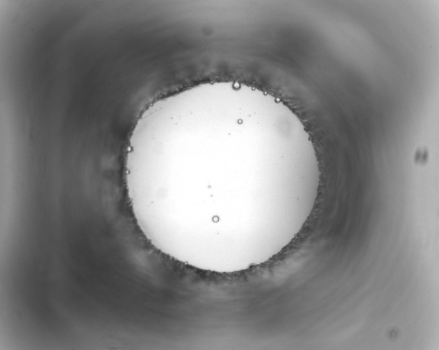 X0000103930144200809191359