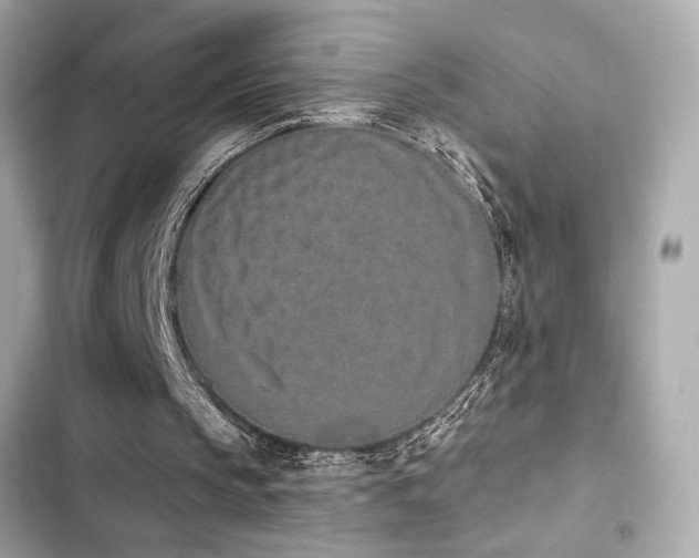 X0000103930145200809191358