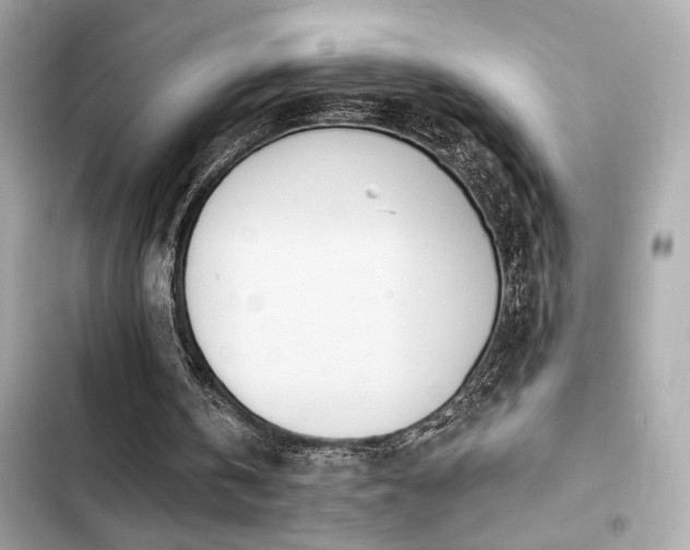 X0000103930146200809191358