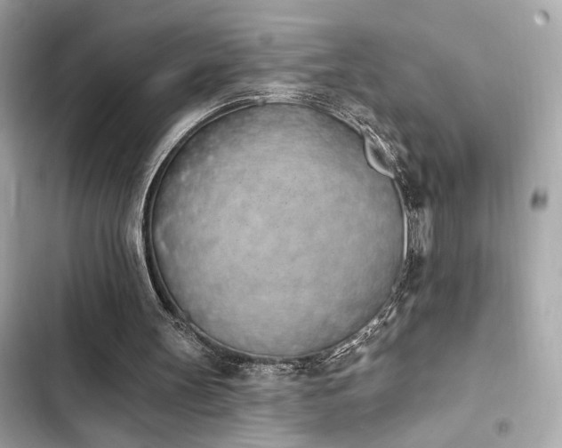 X0000103930147200809191358