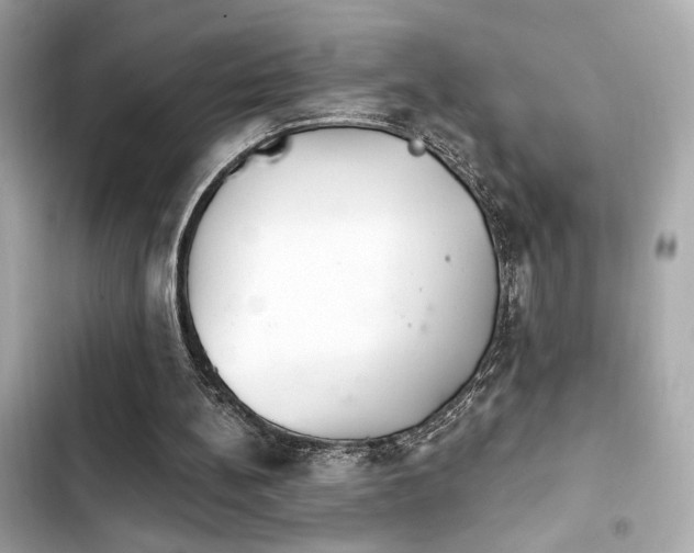 X0000103930148200809191358