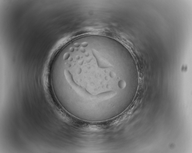X0000103930149200809191358